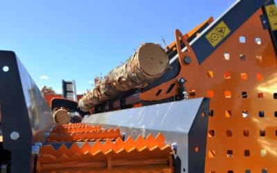 Firewood and Sustainability: How to Reduce Your Carbon Footprint